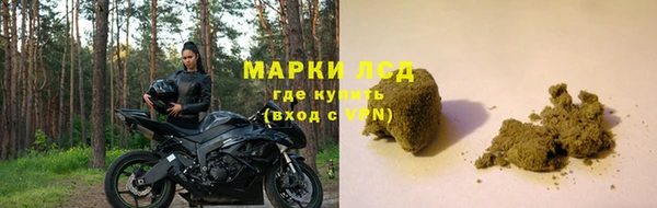 стаф Абинск