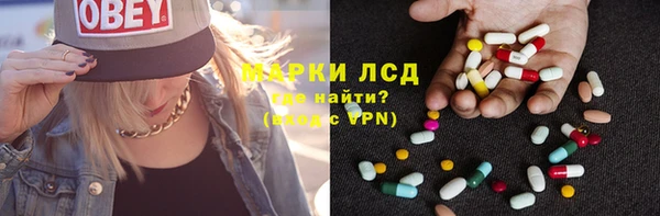 крисы Абаза