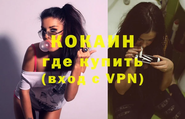 крисы Абаза