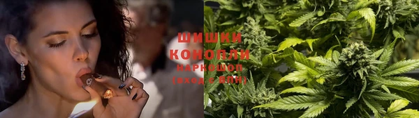крисы Абаза