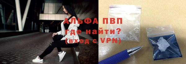 стаф Абинск