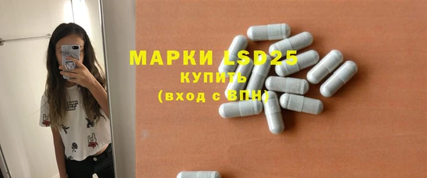 стаф Абинск