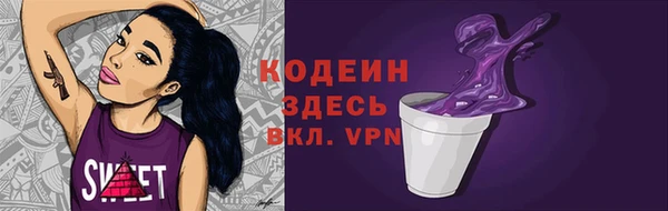 крисы Абаза