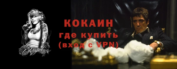 крисы Абаза