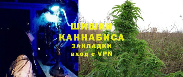 стаф Абинск