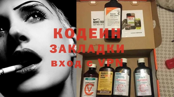 крисы Абаза